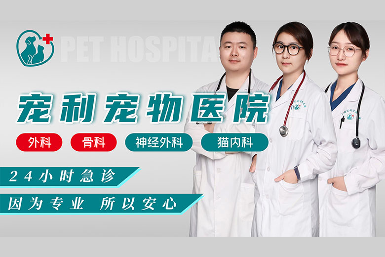 点评店铺运营,点评店铺优化,点评店铺排名,美团店铺运营,美团店铺优化,美团店铺运营,聪店宝-宠利宠物