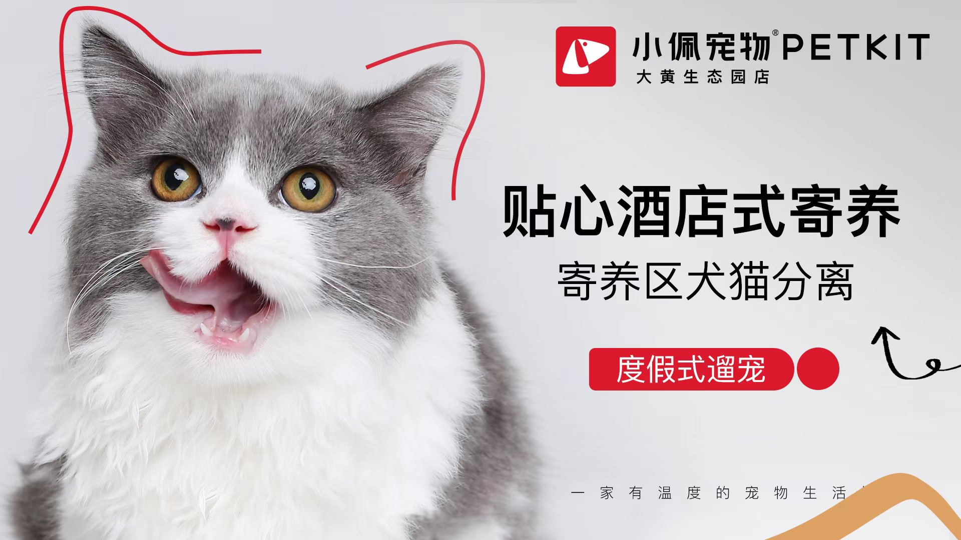 点评店铺运营,点评店铺优化,点评店铺排名,美团店铺运营,美团店铺优化,美团店铺运营,聪店宝-宠物店成功案例