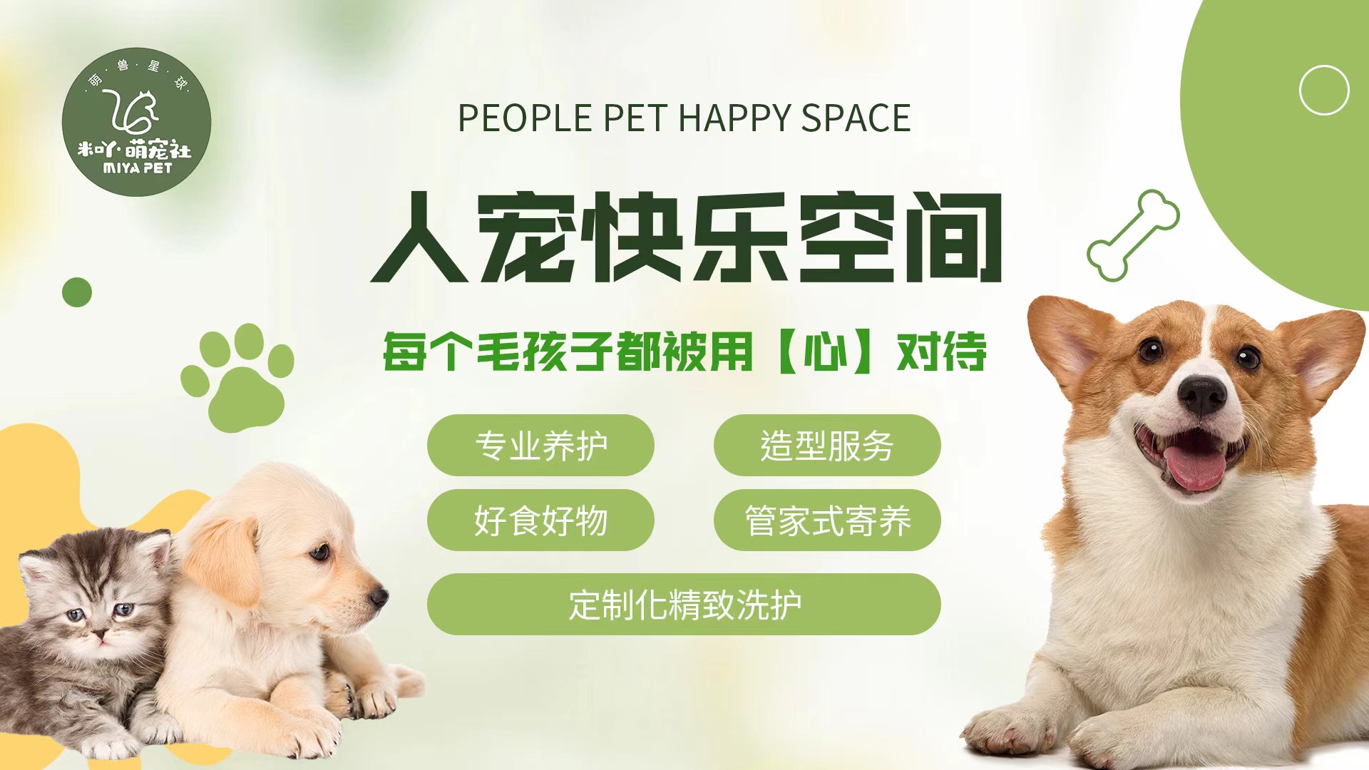 点评店铺运营,点评店铺优化,点评店铺排名,美团店铺运营,美团店铺优化,美团店铺运营,聪店宝-宠物店成功案例